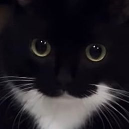自戒さんのプロフィール画像