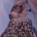 السامري (@8xywqsfr9knrv8d) Twitter profile photo السامري (@8xywqsfr9knrv8d) Twitter profile photo