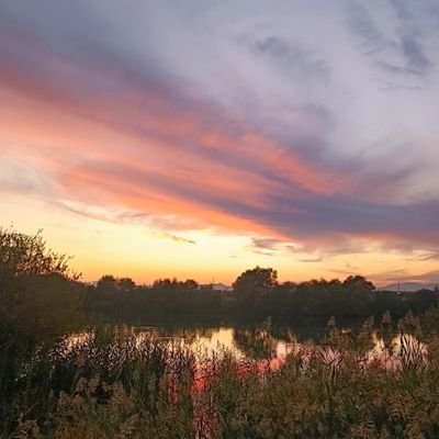 ali45512640's profile picture. 