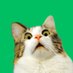 wut (@wutsolana) Twitter profile photo wut (@wutsolana) Twitter profile photo