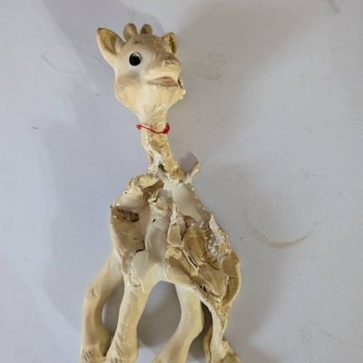 7869kanayama's profile picture. 三度の飯よりクーポンが好き