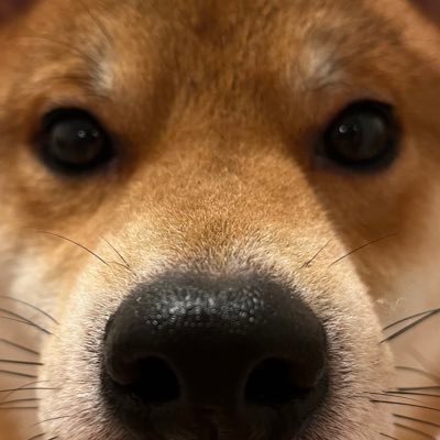 とすけさんのプロフィール画像