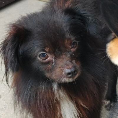 etna82198391003's profile picture. 