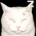 𝔎ar𝚍ās𝐡ian𝚜 ✮! (@kardittos) Twitter profile photo 𝔎ar𝚍ās𝐡ian𝚜 ✮! (@kardittos) Twitter profile photo