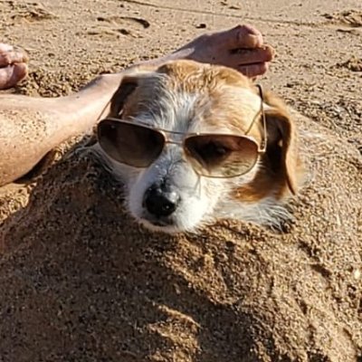 unacceppt's profile picture. 