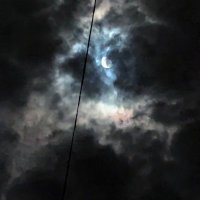 BigDBeast (@beastofthundera) 's Twitter Profile