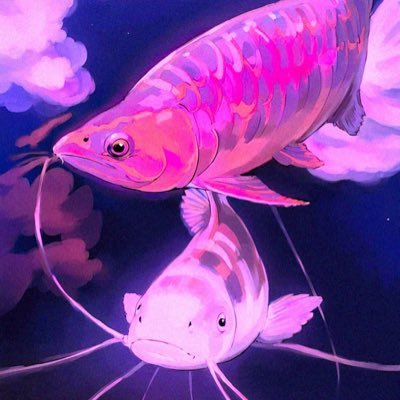 ZDVX1AVGmxtqYRw's profile picture. R3.11.14に1200水槽立ち上げ フラワーホーンから始め 現在は10種類以上の淡水魚を飼育しています🐟✨ 可愛いお魚さん達に囲まれて楽しい日々を過ごしてます #アクアリウム #アクアリスト ＃淡水魚 #アクアリウム好きな人と繋がりたい