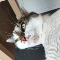 E.A.A.😺🍀 (@erikaandalgaa) Twitter profile photo