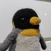 オガスケ_web制作勉強中 (@ogasuke_web) Twitter profile photo オガスケ_web制作勉強中 (@ogasuke_web) Twitter profile photo
