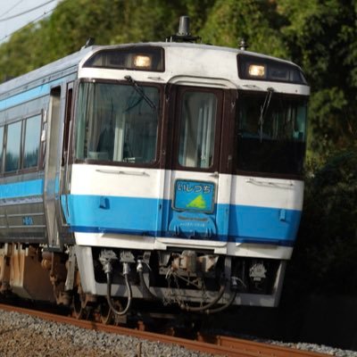 yanagi185's profile picture. 無難な写真