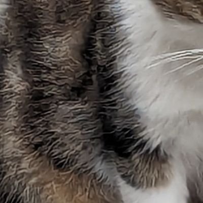 RgXid2GDUA41357's profile picture. 20↑