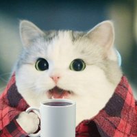 recusant#☕ (@neorecusant) 's Twitter Profile Photo recusant#☕ (@neorecusant) 's Twitter Profile Photo