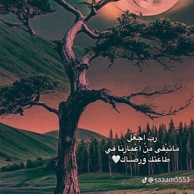 AbwRayf23345's profile picture. متابع بصمت دون استثناء
