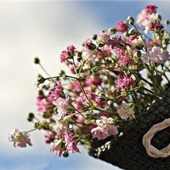 副業の成功法を発信中。副業を始めたい人に役立つ情報をお届け。多少ですがお金配り企画も実施しております★ 詳しくはこちら➡ https://t.co/XYwSTwKIQB