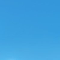 か🍄 (@torihiki_ka6) 's Twitter Profile