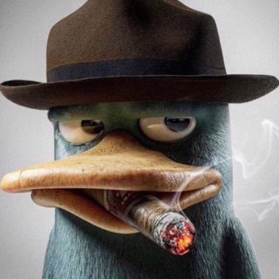 hoelandOUT's profile picture. joga bonito