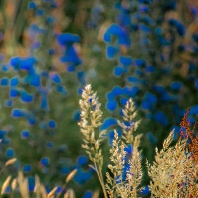 6_of48's profile picture. 趣味アカウント 原画をお迎えしたい