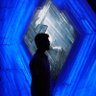 DhiyaneshDK's profile picture. AppSec Researcher @pdiscoveryio