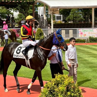 DAIBUTSU08's profile picture. よろしくお願いします。 社台サンデー/ノルマン/インゼル/京サラ（クリアランス）で1口やってます。 ヤクルトスワローズとガンバ大阪のファンです。サウナも好きです。
