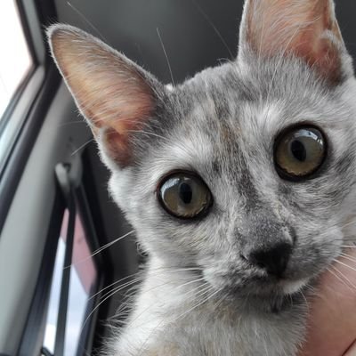 marimoさんのプロフィール画像