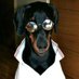 judah (@dawgwithaduragg) Twitter profile photo judah (@dawgwithaduragg) Twitter profile photo