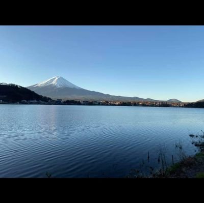 Loop11241620's profile picture. 