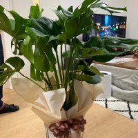 ひろきんぐれっくす (@g7zupaasez9857) 's Twitter Profile