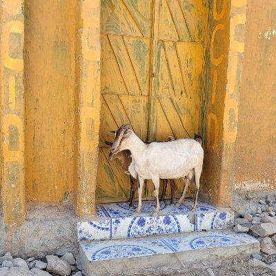 yk1979's profile picture. 投資家💹fire🔥
185カ国渡航/🇺🇳192→残り7
234航空会社✈️1184回搭乗
⚽48カ国・地域🏟観戦
平26年88巡礼⛩平27年高野結願
2017.7富士🗻、2017.8しまなみ🚲
2021.12🚲47都道府県配達