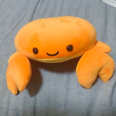 hiragiii53543's profile picture. 丁寧なインターネット生活を心がけています