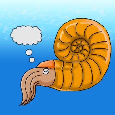 きんぐさんのプロフィール画像