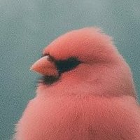 Amz0618 (@aoysiravat) 's Twitter Profile