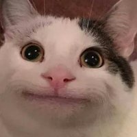 Panda_Cozy (@pandacozy1) 's Twitter Profile