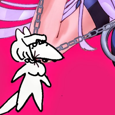 臭吉娃小白さんのプロフィール画像