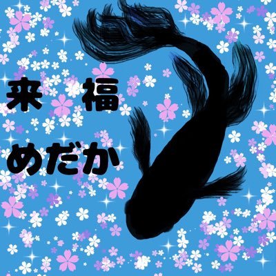 初めまして‼️宮城県石巻市でめだか販売をしている【来福めだか】です。沢山の改良めだかなど販売中です‼️随時Xやインスタなど更新してます。お気楽にDMください‼️ https://t.co/4SZWNB1II0