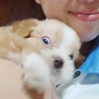 chia. (@__chiaralxndra) 's Twitter Profile