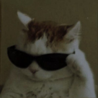 Trql__t's profile picture. 