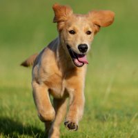 Ken Murphy Photography (@kenmurphyphoto) 's Twitter Profile Photo Ken Murphy Photography (@kenmurphyphoto) 's Twitter Profile Photo