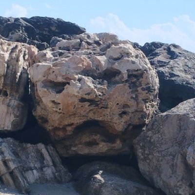 Indomitable1979's profile picture. Vernunft statt Ideologienwahnsinn,Anti -Woke, Es gibt nur 2, FCKGRN