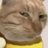 myu014560087427's profile image