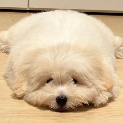 #독서계 #일상계 | 비문학 중 특히 인문학과 사회과학 분야를 편식함니당 | 여성 온라인 독서모임은 아래 카톡오픈챗 링크 클릭📖💚