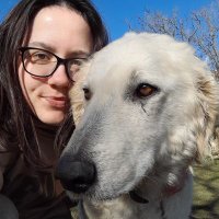 Zu π (@zuloves99) 's Twitter Profile