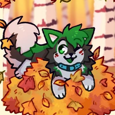 dogdog 💚さんのプロフィール画像