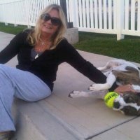 Carla (@tavatoo) 's Twitter Profile