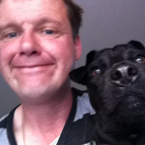 Speedybirdman's profile picture. 