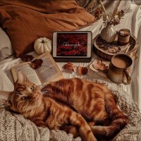 callie (@ravencatblack) 's Twitter Profile