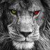 GREY♦️ (@ojejohn43) Twitter profile photo GREY♦️ (@ojejohn43) Twitter profile photo