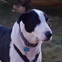 Mary G (@magsis77) 's Twitter Profile
