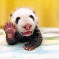 Borys Pandov 🏳️🌈🇪🇺🇵🇱 (@boryspandov) 's Twitter Profile