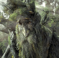 herderoftrees's profile picture. 