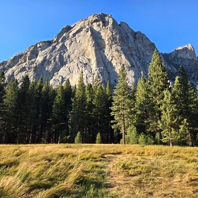 shnbnt's profile picture. Father...Grandfather...Historian... Browns Fan...